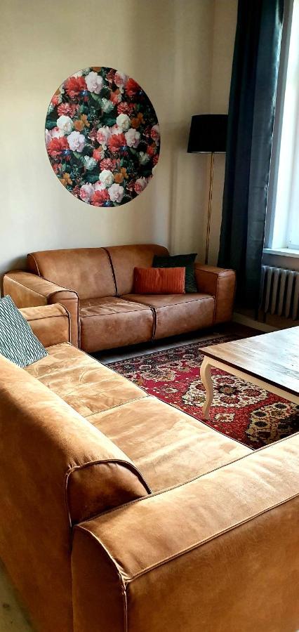 Vogtlandperle Apartamento Oelsnitz Exterior foto