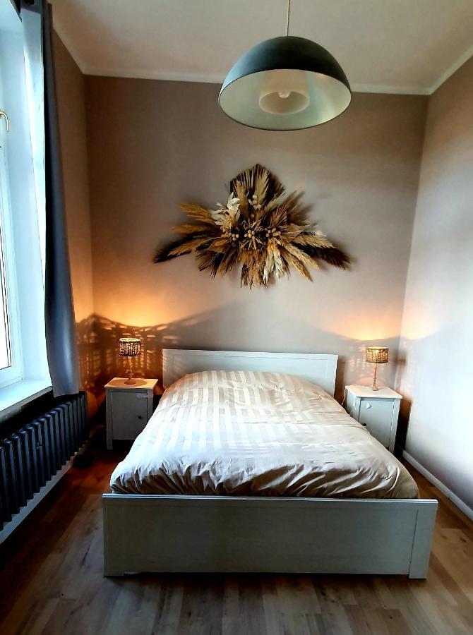 Vogtlandperle Apartamento Oelsnitz Exterior foto